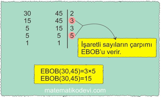 Iki dogal sayinin en buyuk ortak bolenini EBOB ve en kucuk ortak katini EKOK hesaplar ilgili problemleri cozer13