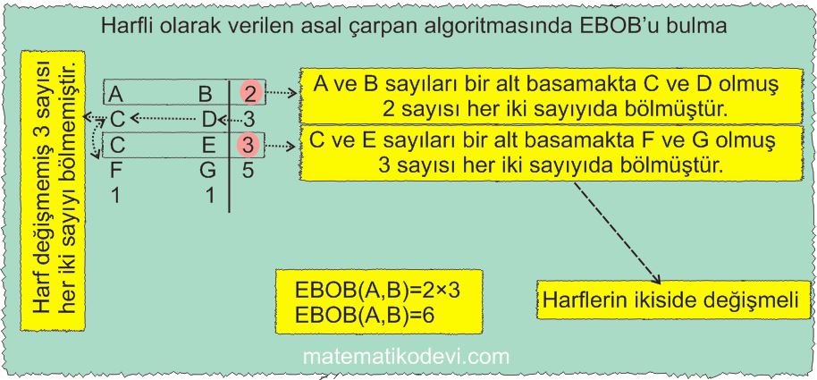 Iki dogal sayinin en buyuk ortak bolenini EBOB ve en kucuk ortak katini EKOK hesaplar ilgili problemleri cozer15
