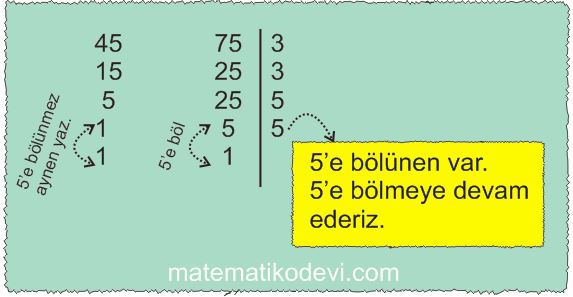 Iki dogal sayinin en buyuk ortak bolenini EBOB ve en kucuk ortak katini EKOK hesaplar ilgili problemleri cozer5