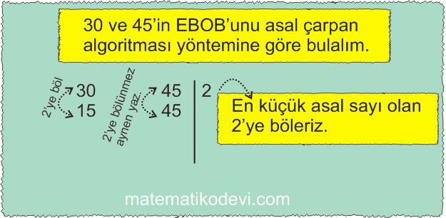 Iki dogal sayinin en buyuk ortak bolenini EBOB ve en kucuk ortak katini EKOK hesaplar ilgili problemleri cozer9