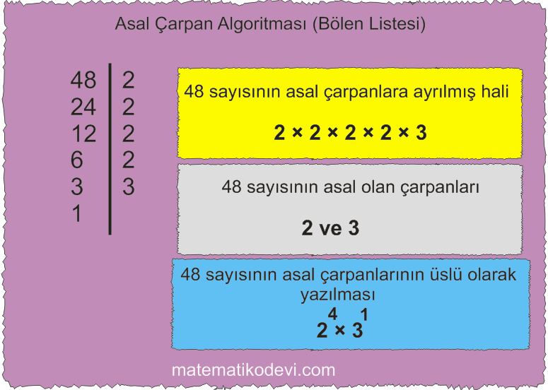 Verilen pozitif tamsayilarin carpanlarini bulur pozitif tamsayilari uslu ifade ya da uslu ifadelerin carpimi seklinde yazar13