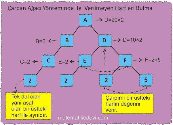 Verilen pozitif tamsayilarin carpanlarini bulur pozitif tamsayilari uslu ifade ya da uslu ifadelerin carpimi seklinde yazar16