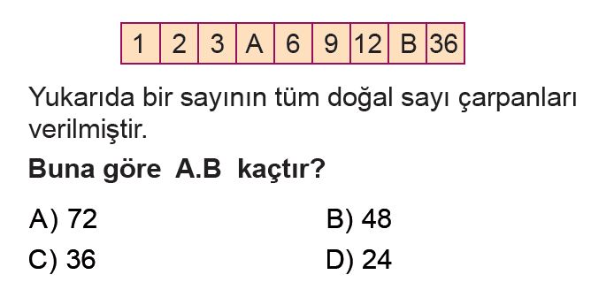 6.Sınıf 1.Dönem 2.Yazılı