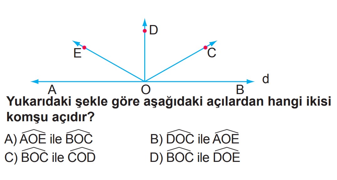 6.Sınıf 2.Dönem 2.Yazılı