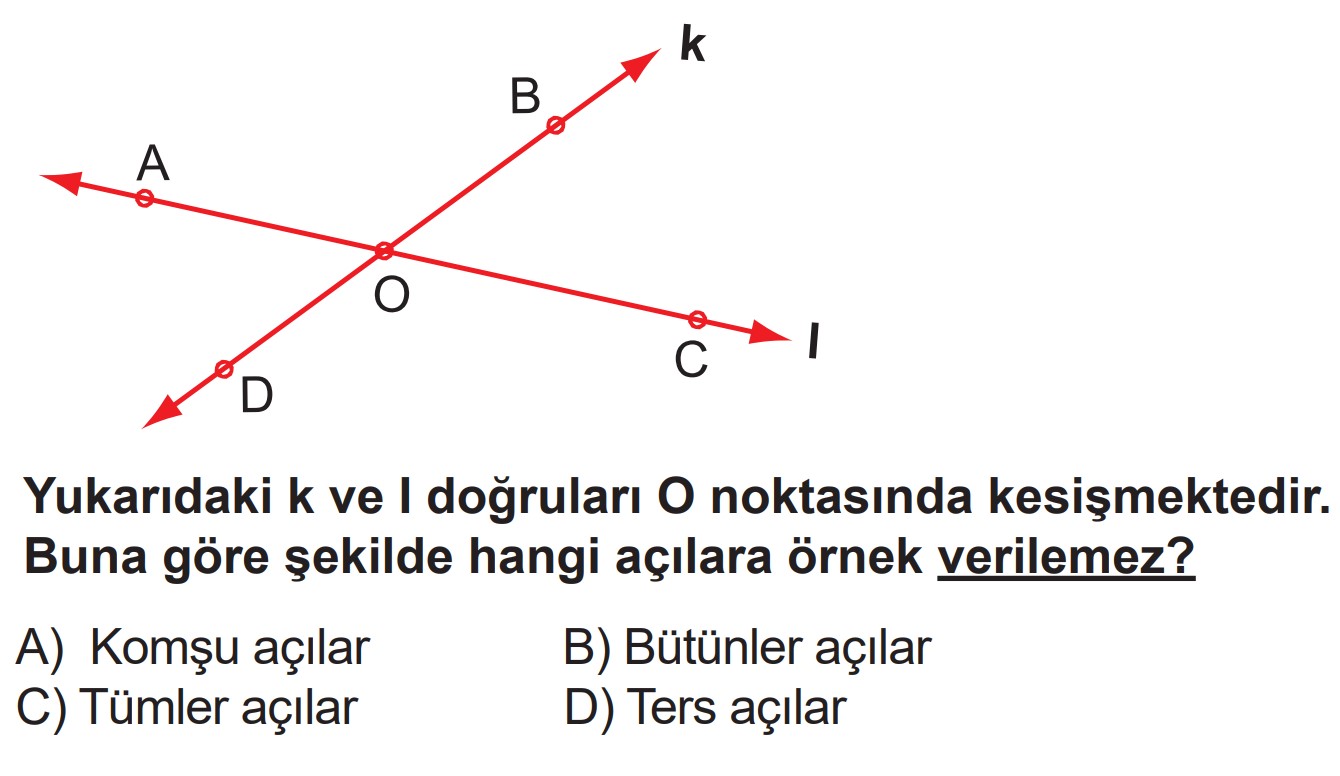 6.Sınıf 2.Dönem 2.Yazılı