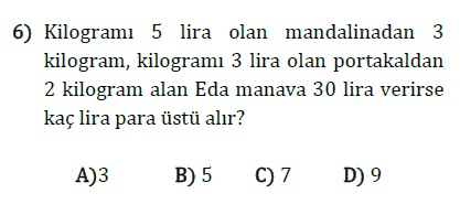 Doğal Sayı Problemleri