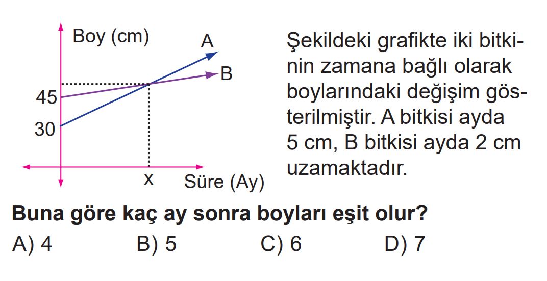 8.Sınıf 2.Dönem 1.Yazılı