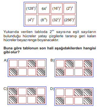 Matematik Sorusu