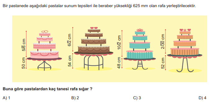 Matematik Sorusu