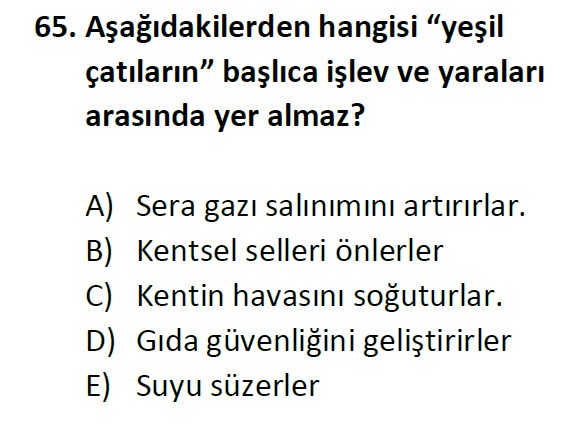 Uzman Öğretmenlik Test