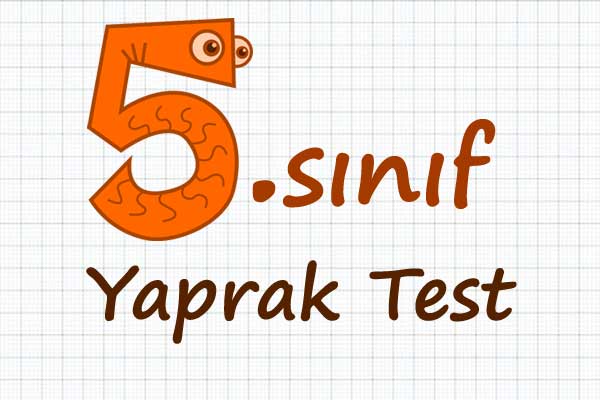 5. Sınıf Test