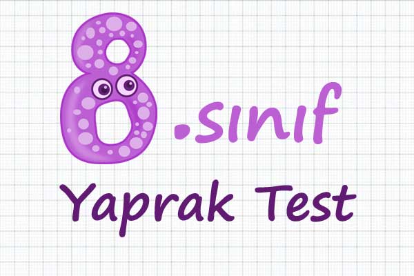 8. Sınıf test