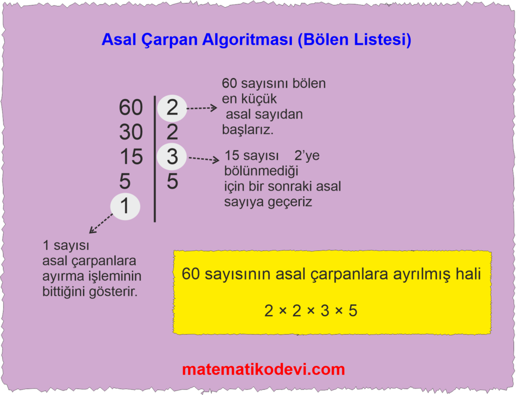Verilen pozitif tamsayilarin carpanlarini bulur pozitif tamsayilari uslu ifade ya da uslu ifadelerin carpimi seklinde yazar.24