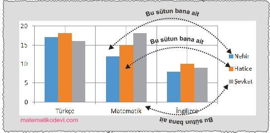 En fazla uc veri grubuna ait cizgi ve sutun grafiklerini yorumlar.5