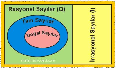 Gercek sayilari tanir rasyonel ve irrasyonel sayilarla iliskilendirir2 1