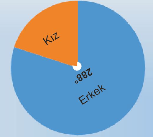 Verileri sutun daire veya cizgi grafigi ile gosterir ve bu gosterimler arasinda uygun olan donusumleri yapar.11