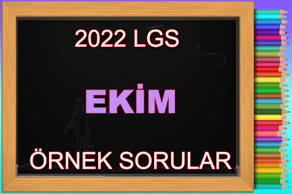 Ekim Ayı Örnek Sorular