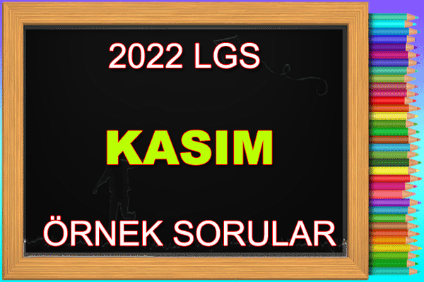 Kasım Ayı Örnek Sorular