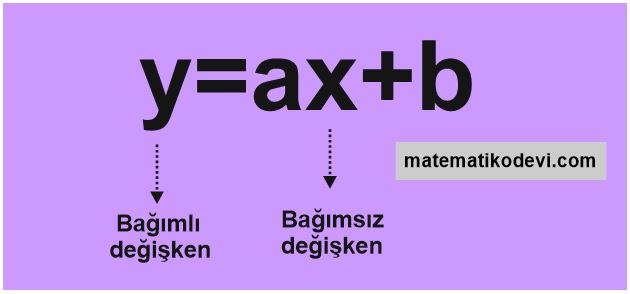 Dogrusal iliski iceren gercek hayat durumlarina ait denklem tablo ve grafigi olusturur ve yorumlar.