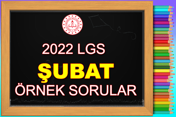 Şubat Ayı Örnek Sorular