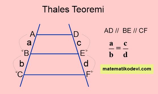 thales teoremi