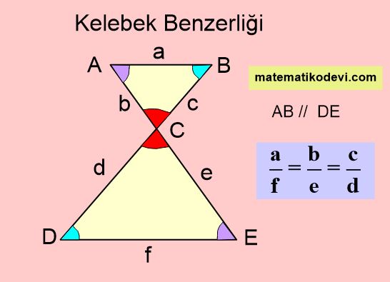 kelebek benzerliği