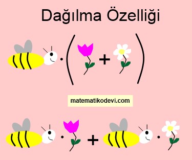 dağılma özelliği