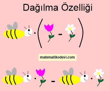 Dağılma özelliği