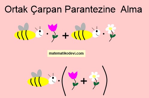 ortak çarpan parantezine alma