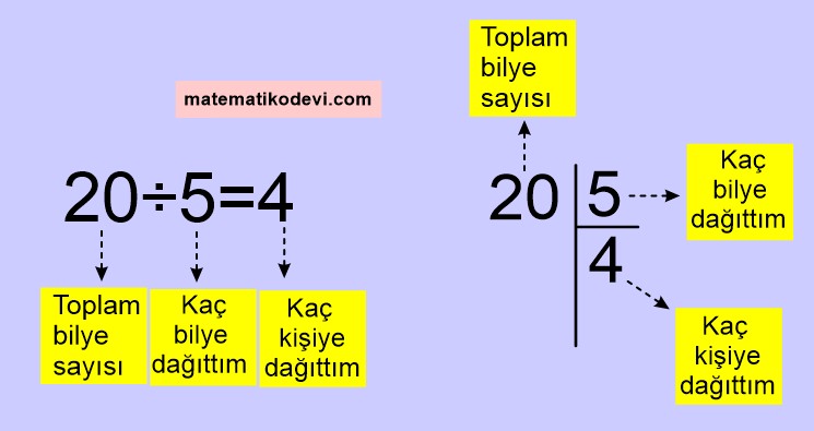 En çok dört basamaklı bir doğal sayıyı, en çok iki basamaklı bir doğal sayıya böler.