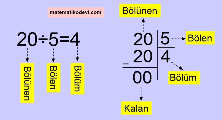 En çok dört basamaklı bir doğal sayıyı, en çok iki basamaklı bir doğal sayıya böler.