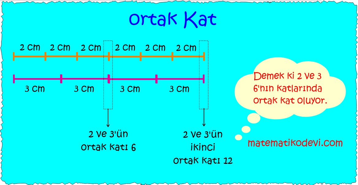 Iki dogal sayinin ortak bolenleri ile ortak katlarini belirler ilgili problemleri cozer.2