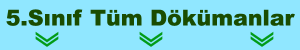 5.Sınıf Matematik