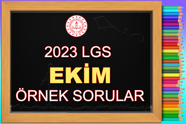 Ekim Ayı Örnek Sorular