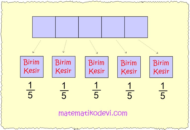 Birim kesirleri sayi dogrusunda gosterir ve siralar.
