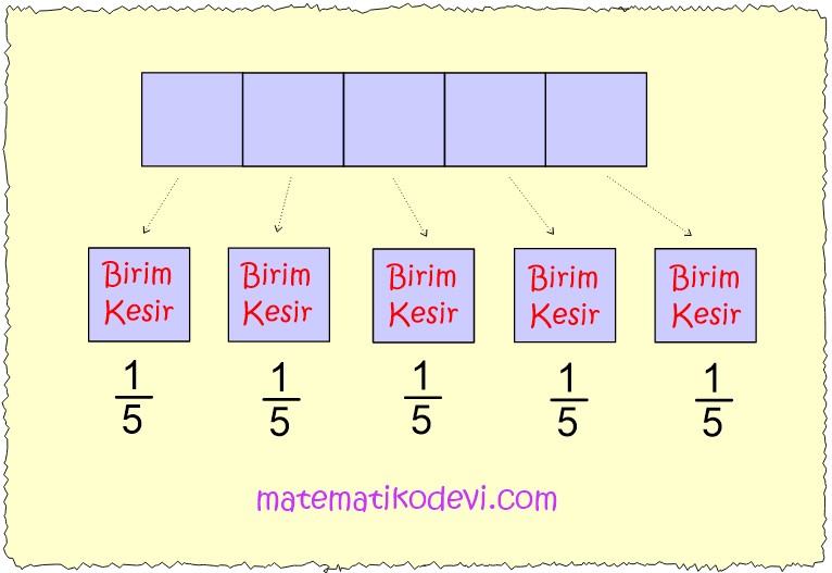 Birim kesirleri sayi dogrusunda gosterir ve siralar.