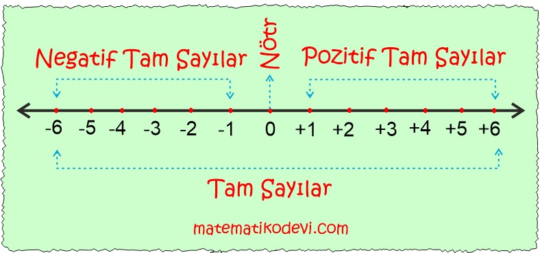 Tam sayilari tanir ve sayi dogrusunda gosterir.