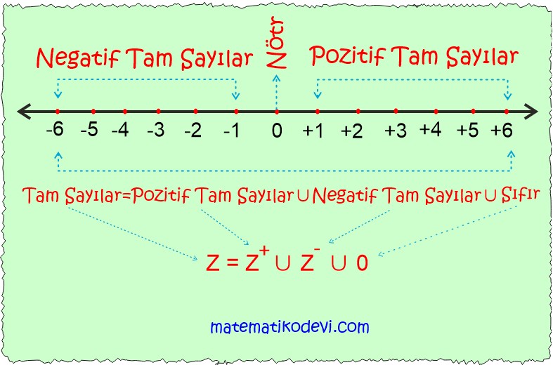 Tam sayilari tanir ve sayi dogrusunda gosterir.2