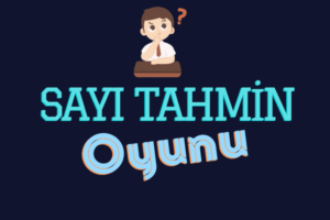 Sayı Tahmin Oyunu